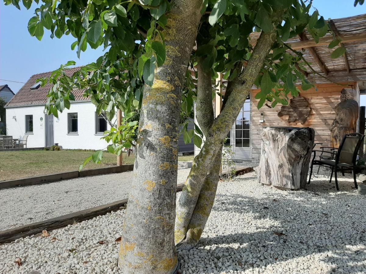 Вілла La Petite Juliette Leuze-en-Hainaut Екстер'єр фото